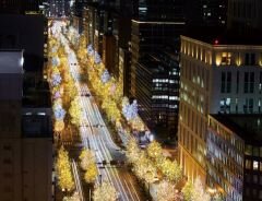 ベストオブ最新イルミ