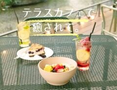 テラス席があるカフェ特集