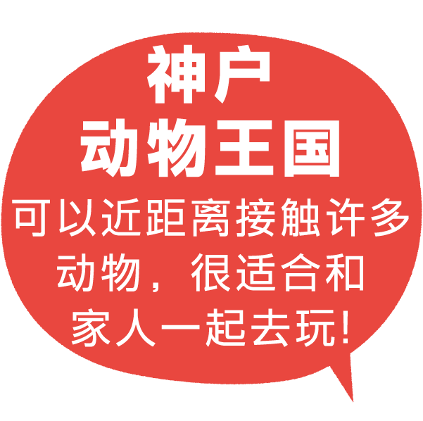 神户动物王国 可以近距离接触许多动物，很适合和家人一起去玩!