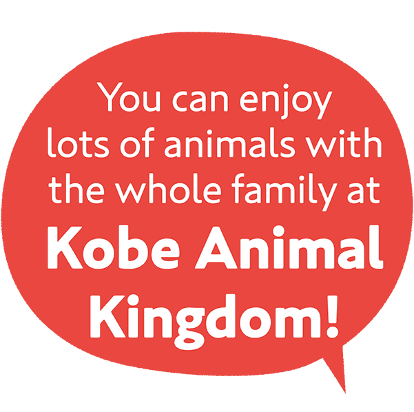 You can enjoy lots of animals with the whole family at Kobe Animal Kingdom!