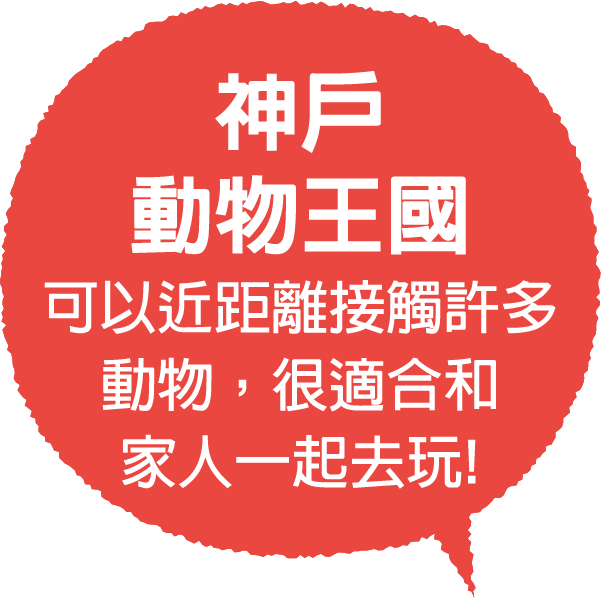 神戶動物王國,可以近距離接觸許多動物，很適合和家人一起去玩!