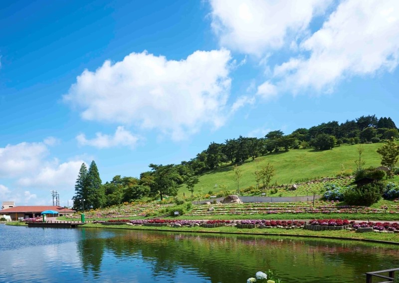 六甲山アスレチックパーク GREENIAの写真