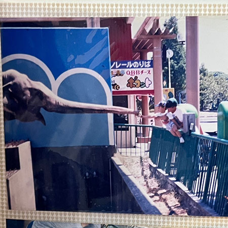 懐かしい阪神パークで象に餌をあげる写真。よく家族で遊びに行きました。最終日はフリーパスを使って観覧車にずっと乗ってました。風船を飛ばす閉園の時はかなり寂しかったです。