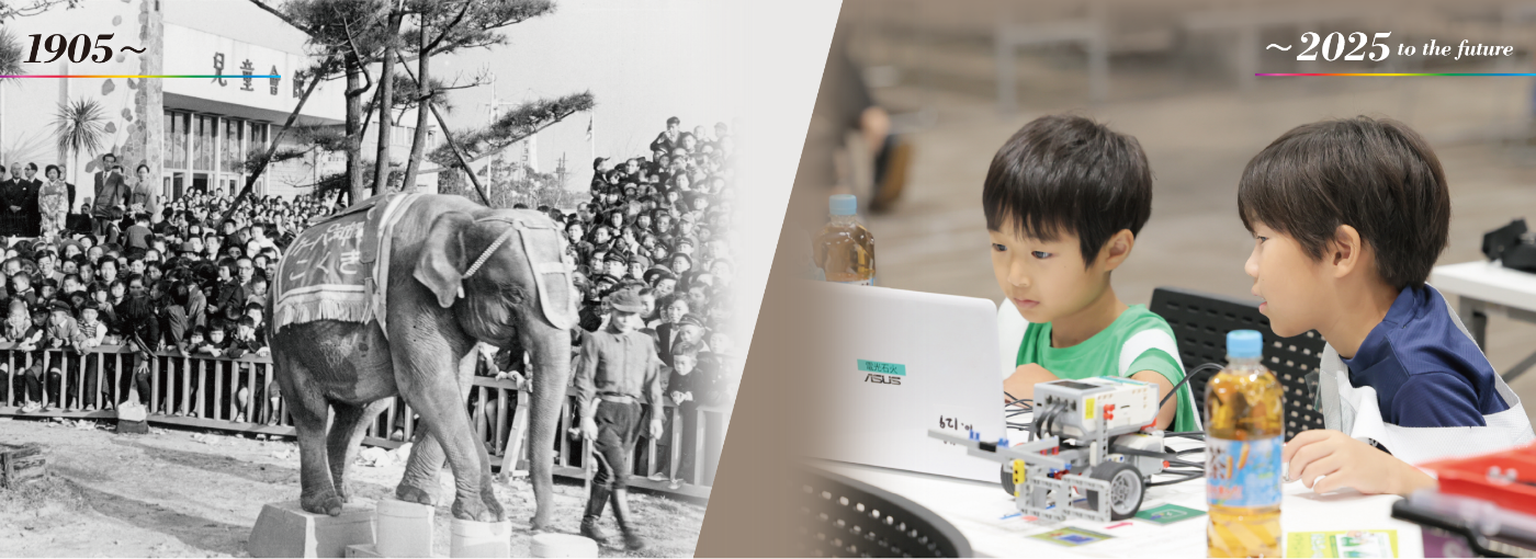 写真左：甲子園阪神パーク（1950年代） 写真右：プログラボカップの様子