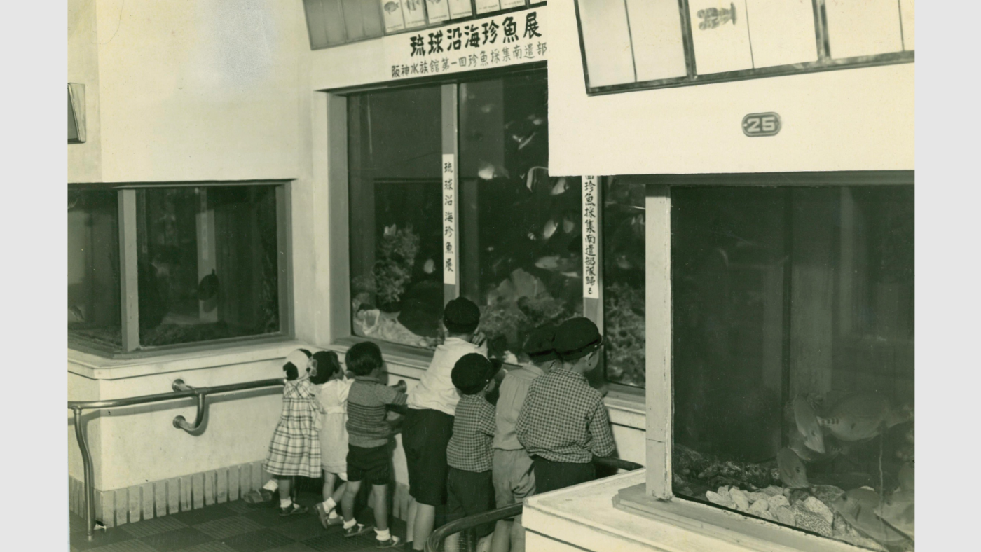 阪神水族館（浜甲子園阪神パーク内）（1935年頃）